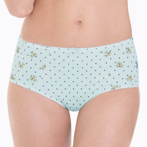 Anita Belvedere blauw/print high brief