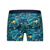 Beat My Boxer Toucan Jungle blauw/print boxershort