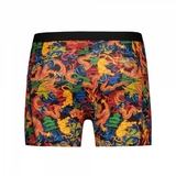 Beat My Boxer Dragon multicolor/print boxershort